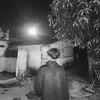 bibit.candra