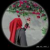 user3403087516763