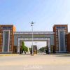 university1238