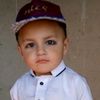 qari8629