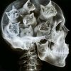 human.thought7