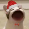 cluestizz