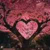 user1040177126168