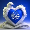 zeeshan1uk2