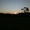 arimugem