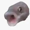 hanmicuti