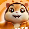 pipidastr0348