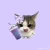 sitiww_692
