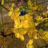 nguynnh0848