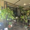 letmeseeyourplants