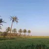 haider_kareem96