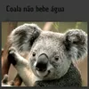 fabiano.negreiros66