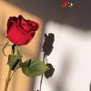 zoba.al.marghani