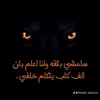 user2498132754037