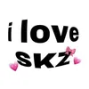 .skz_myhome