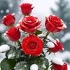 user5601922272511