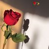 user1060081037070