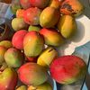tropical.vinegars
