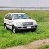 farmanda2963