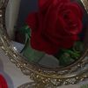 hamm_618