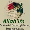 feride83920
