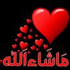 user5727800681079