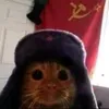 amolaempanadadetuvieja