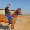 user7034035029097