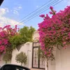 zainab31709