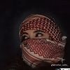 ayesha775386