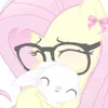 lila_1637