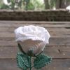 rox.crochet