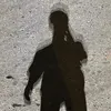 vq_1l