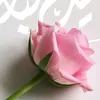 user8684121110468