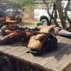 zahid.aamir30