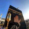 shahd.mahmoud133