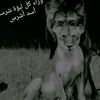 hadjre000