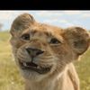 kateregga.harunah