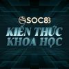 Kiến Thức Khoa Học