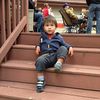 dylanhaisler