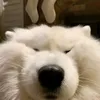 jwuejs2