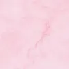 r013518