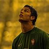 flaxxapolo