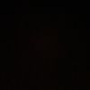 shahla5492
