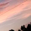 ptnh__456
