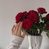 maramabdallh17