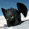 night.fury090