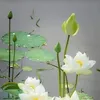 tm74339