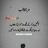 raja.zulqurnain7