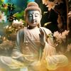 cuc.sng.hn.quc202